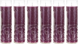 Mega Candles 6 pcs Unscented Purple 7 Day Glass Container Devotional Prayer Candles, Premium Wax Candle 2 Inch x 8 Inch, Sanctuary, Vigils, Prayers, Blessings, Religious, Memorials, Remembrance
