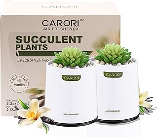 Scented Artificial Succulent Plants 2 Pack