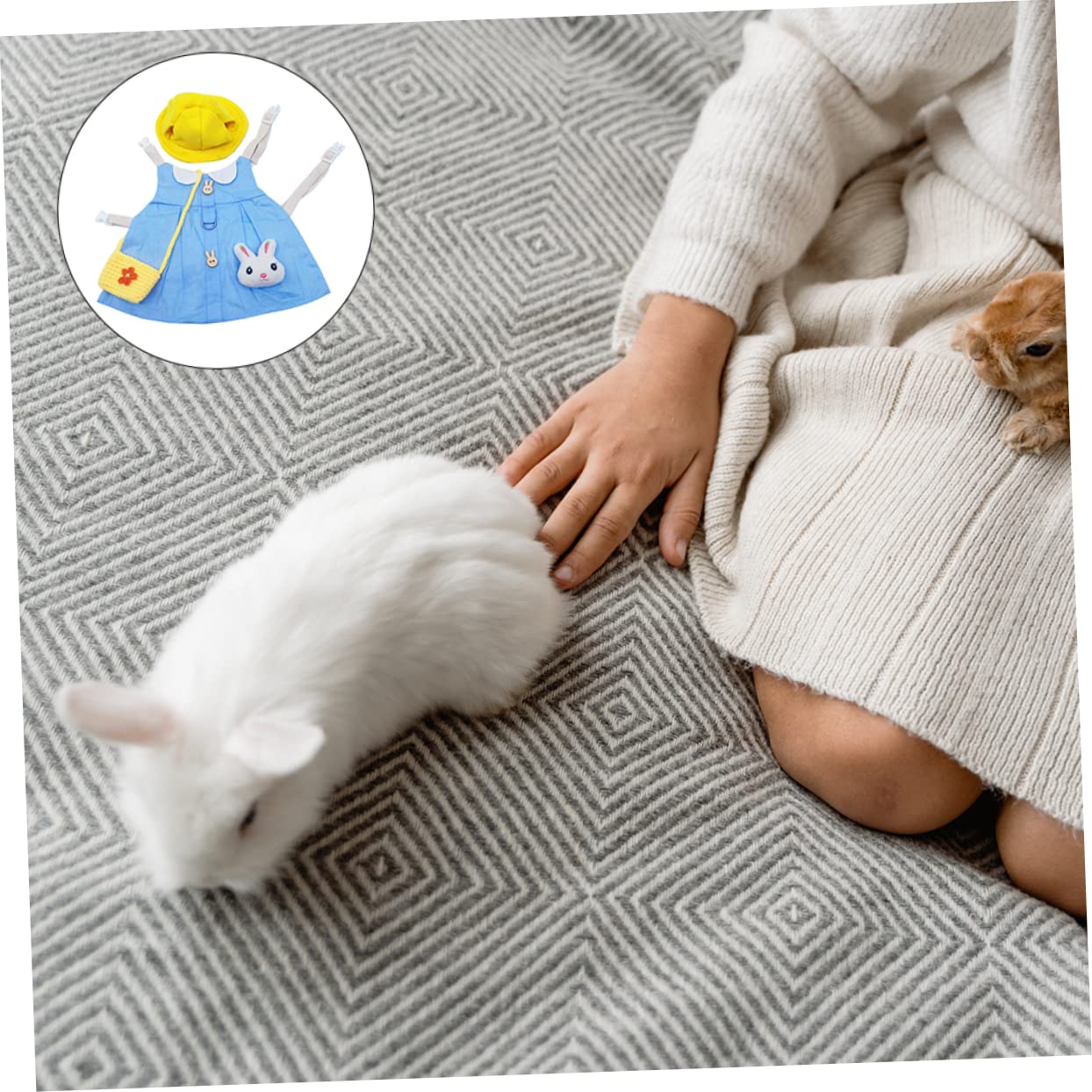 YARNOW 3 Set Guinzaglio Di Coniglio Costumi Da Furetto Vestiti Da Coniglietto Accessori Per Criceti Accessori Per Animali Domestici Cucciolo Cotone Capi Di Abbigliamento Coniglio