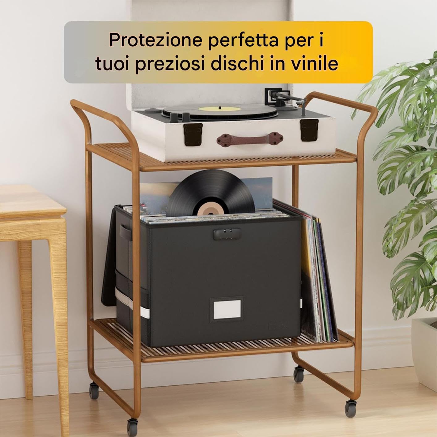 Scatole Di Archiviazione Per Dischi | Cassetta di Conservazione con Coperchio e Maniglie per Collezione di Album di Valore,Porta Documenti Organizzatore Impermeabile e Resistente al Fuoco per