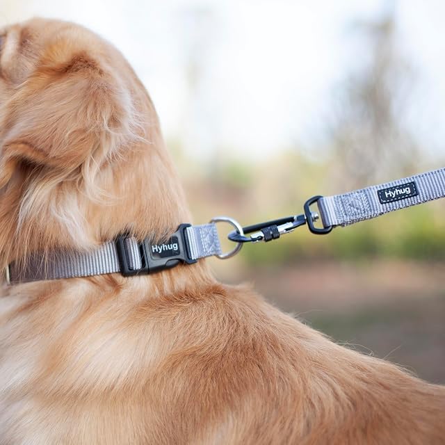 Foto 4 de 8 de Cuello de Trabajo Pesado clásico de Color sólido para Perros Grandes, medianos y pequeños