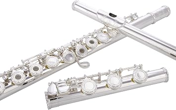 Glory HAND-ENGRAVED SILVER PLATED HIGH GRADE FLUTE 17 Hole OPEN/CLOSED C Flute With Case, Tuning Rod and Cloth and Gloves,HIGH GRADE HAND ENGRAVED