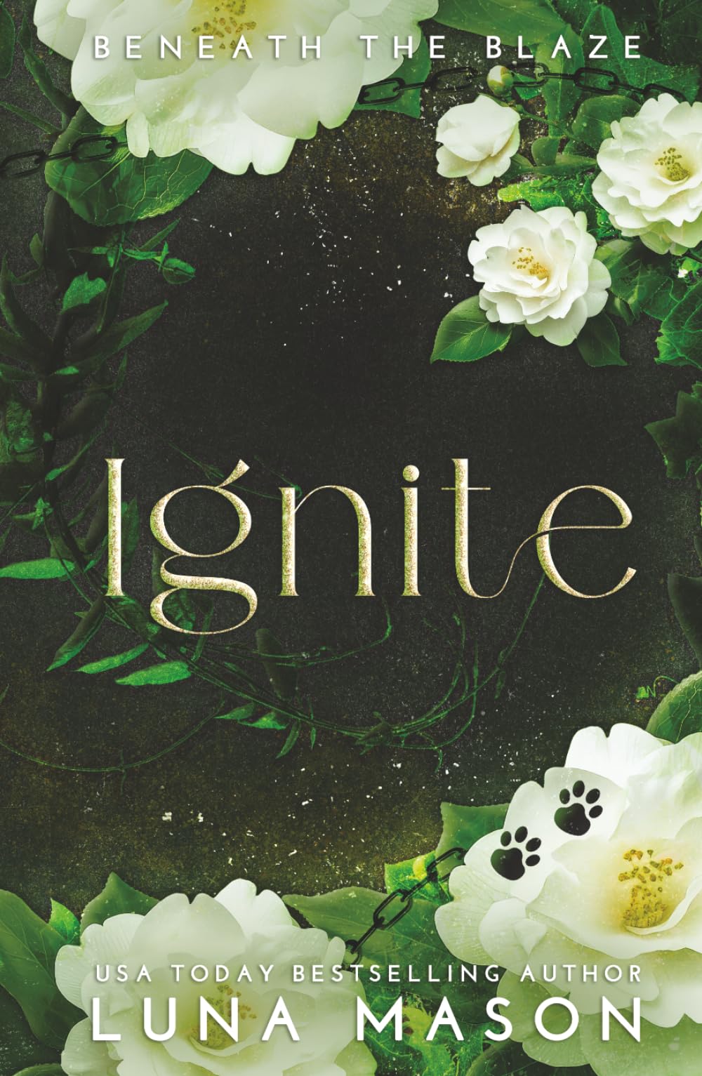 IGNITE (Beneath The Blaze)
