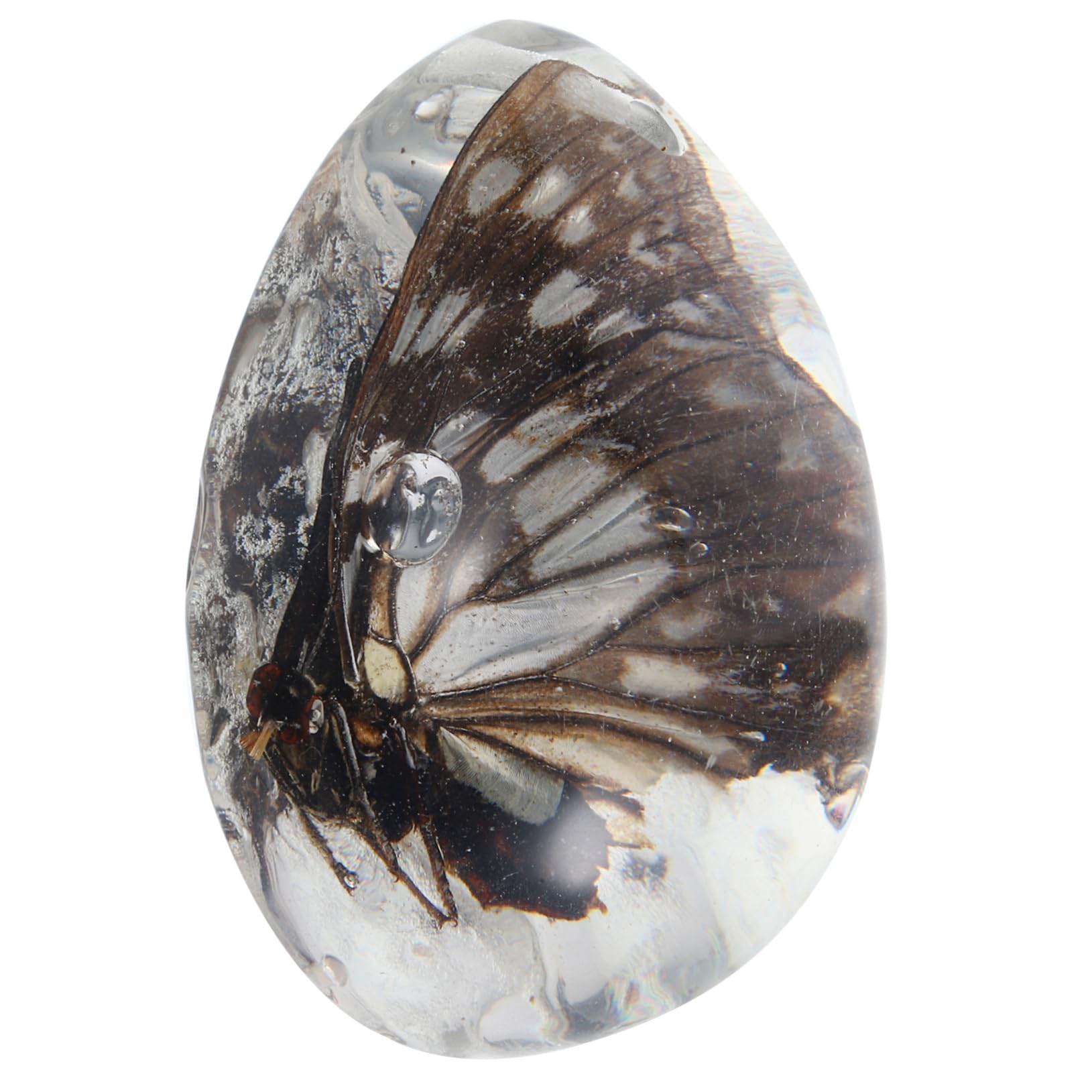 Gatuida Amber Pendant Amber Stone Insect Amber Decor Insect Amber Ornament Butterfly Specimen Insect Amber Specimen Amber Collection Specimen Amber Transparent Beeswax