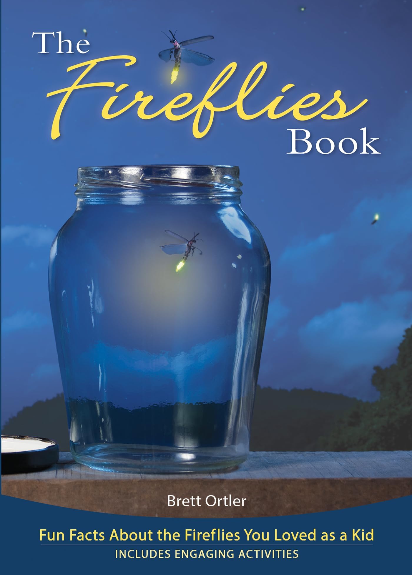 Fireflies Book: Fun Facts About the Fireflies You Loved as a Kid