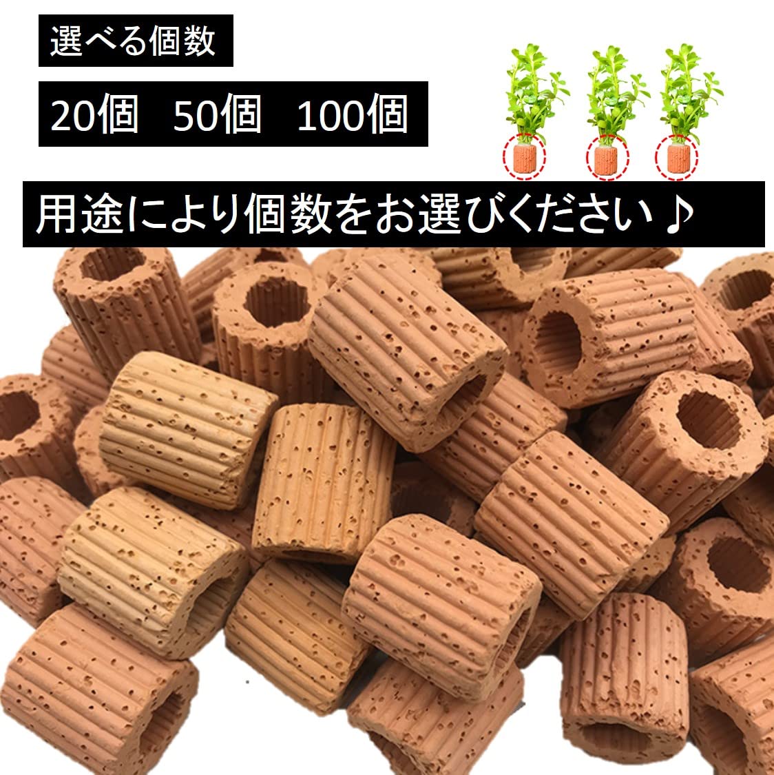 Amazon | ST TS 水槽用 水草固定リング 底砂 溶岩石 水草 固定 