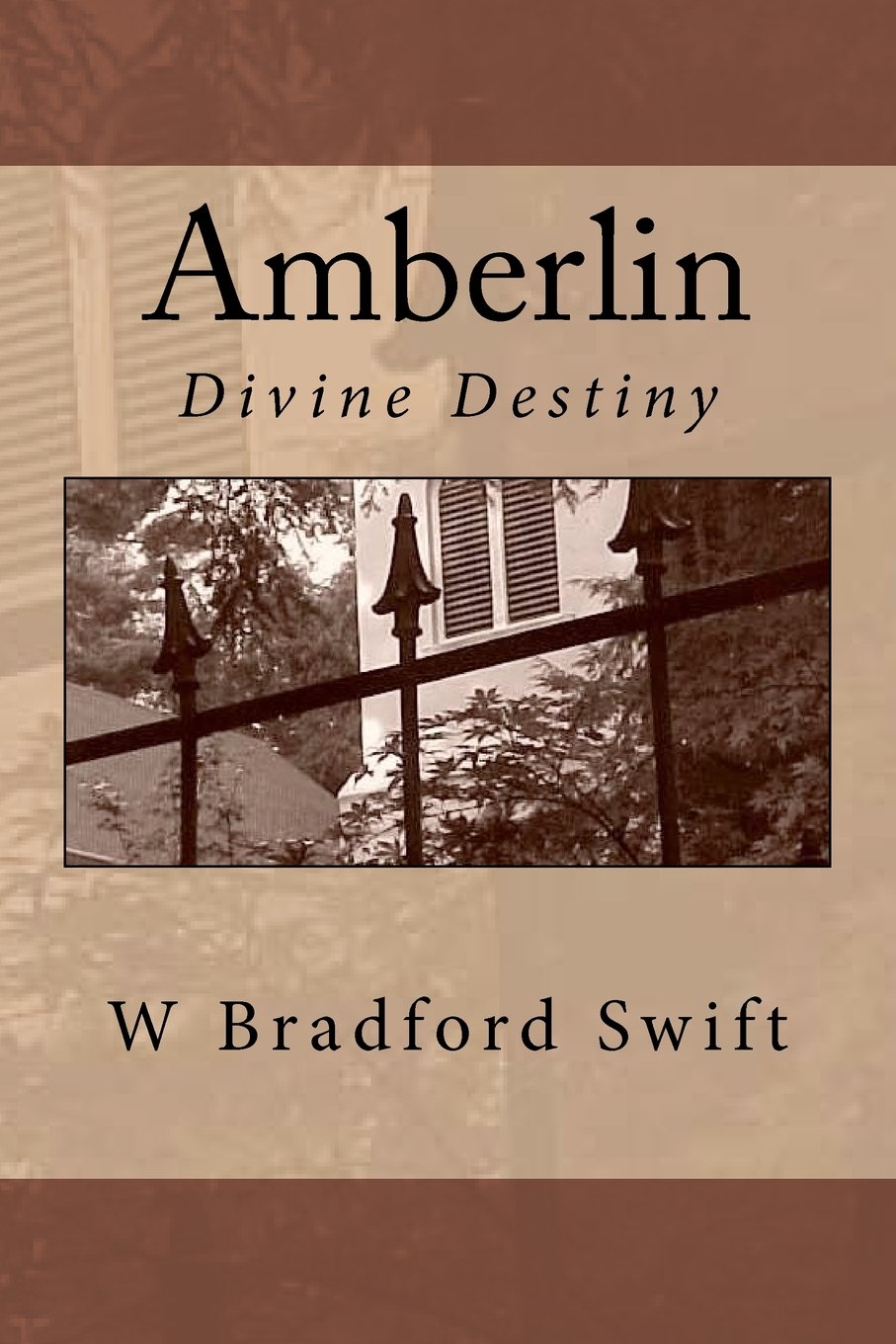 Buy Amberlin: Divine Destiny — BookShops.in