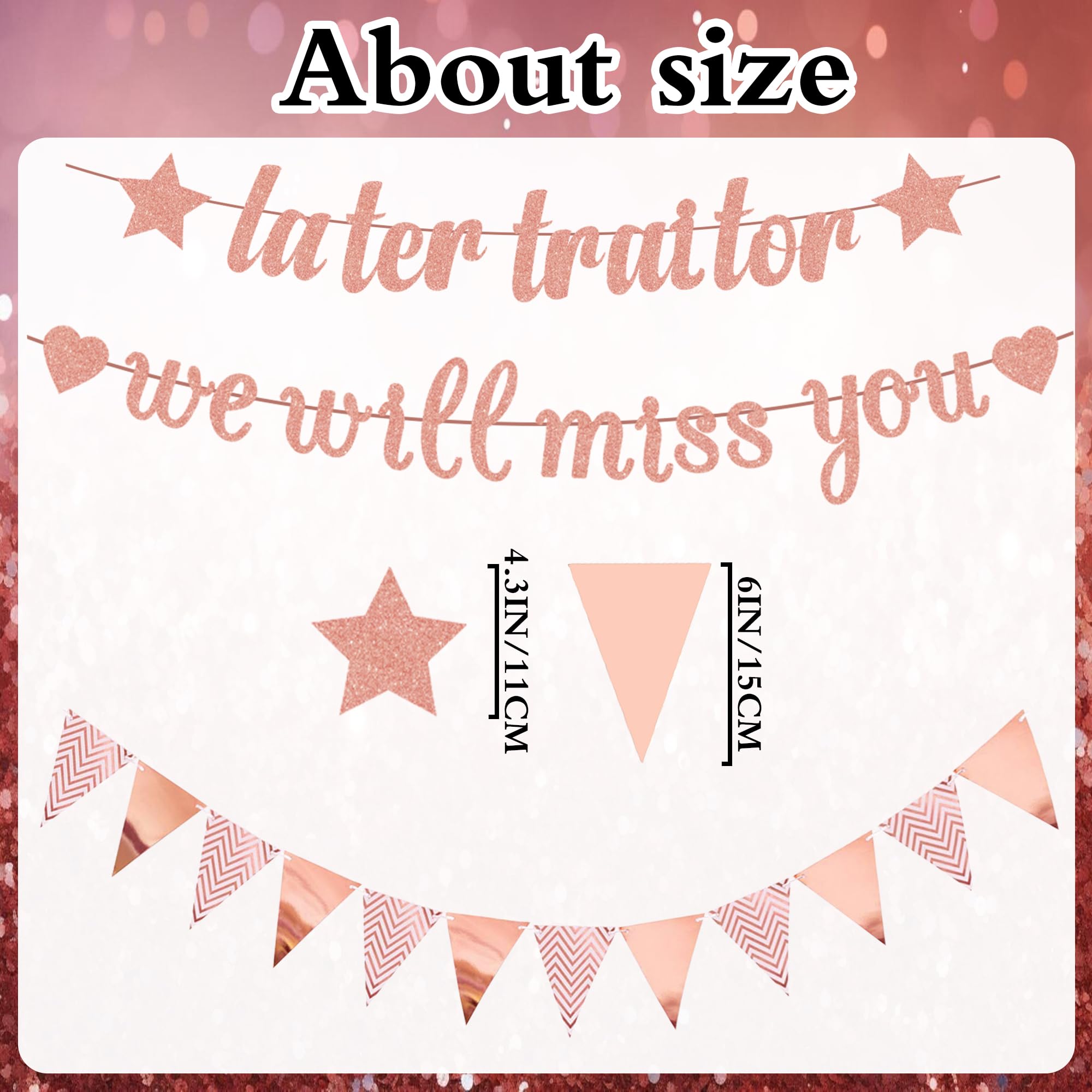 Sorry Your Leaving Banner Decorations, Farewell Party Supplies We Will Miss You Later Traitor Banners - Image 3