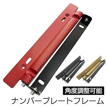 Amazon | モデルノ ラ テール ナンバープレート カーボン 角度