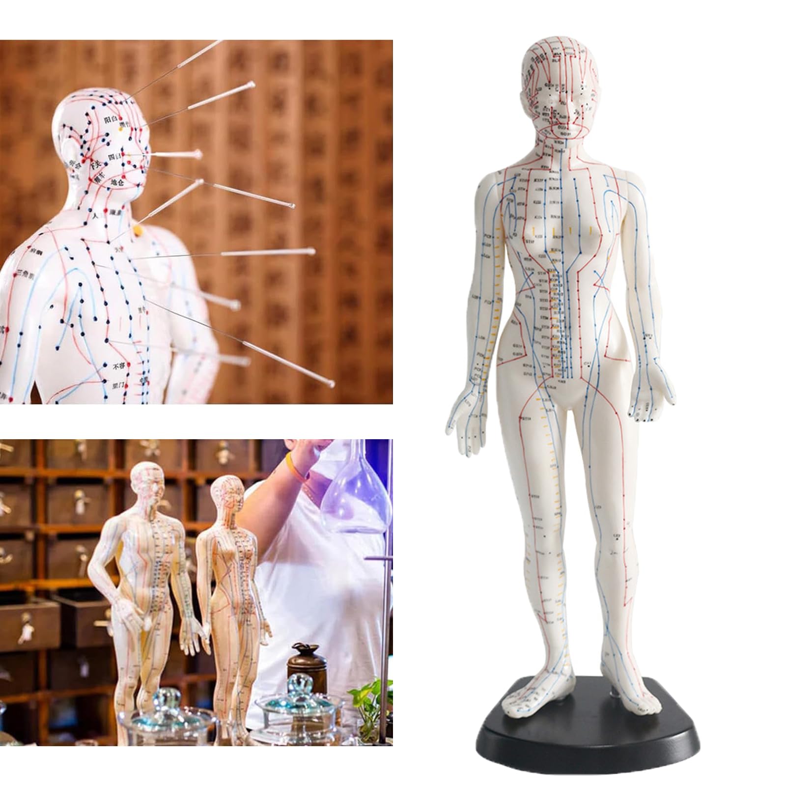 48cm/18.9inch Human Acupuncture Model, Portable Meridian Points Model, Light Weight&easy to Carry, with Fixed Foot Design, Meridian Lines:14, for Science Class Education,A