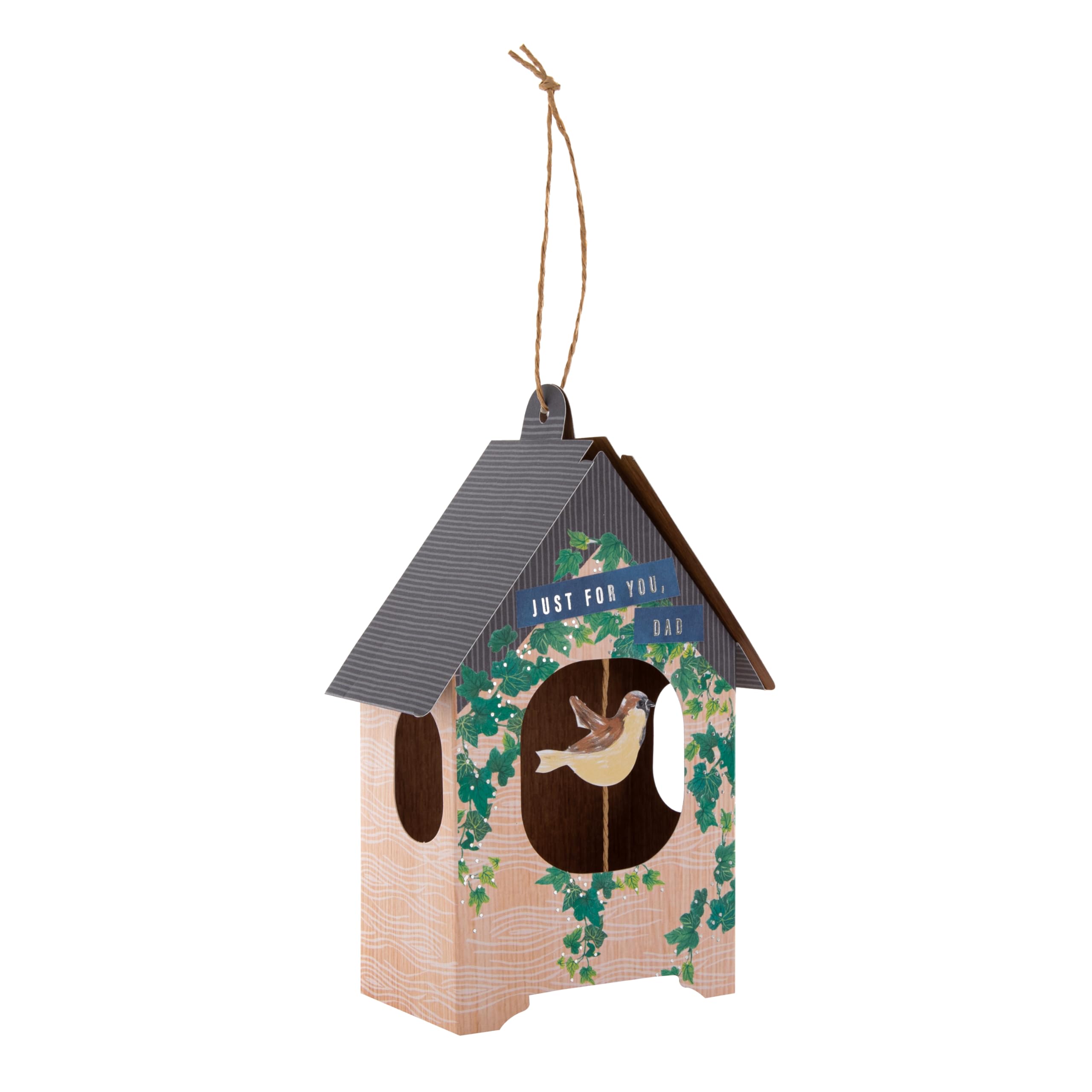 Hallmark Fathers Day Card for Dad, 3D & Pop Up Birdhouse Design, Keepsake, Blue, Green, Brown