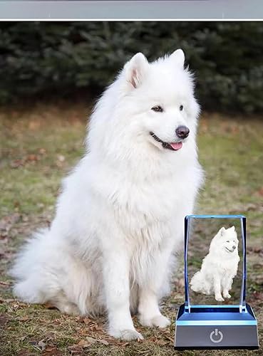 Miniatura 6 de Foto de cristal 3D, regalo personalizado para ella, él, mamá, papá, padre, regalo para parejas foto personalizada en cristal, única para cumpleaños,