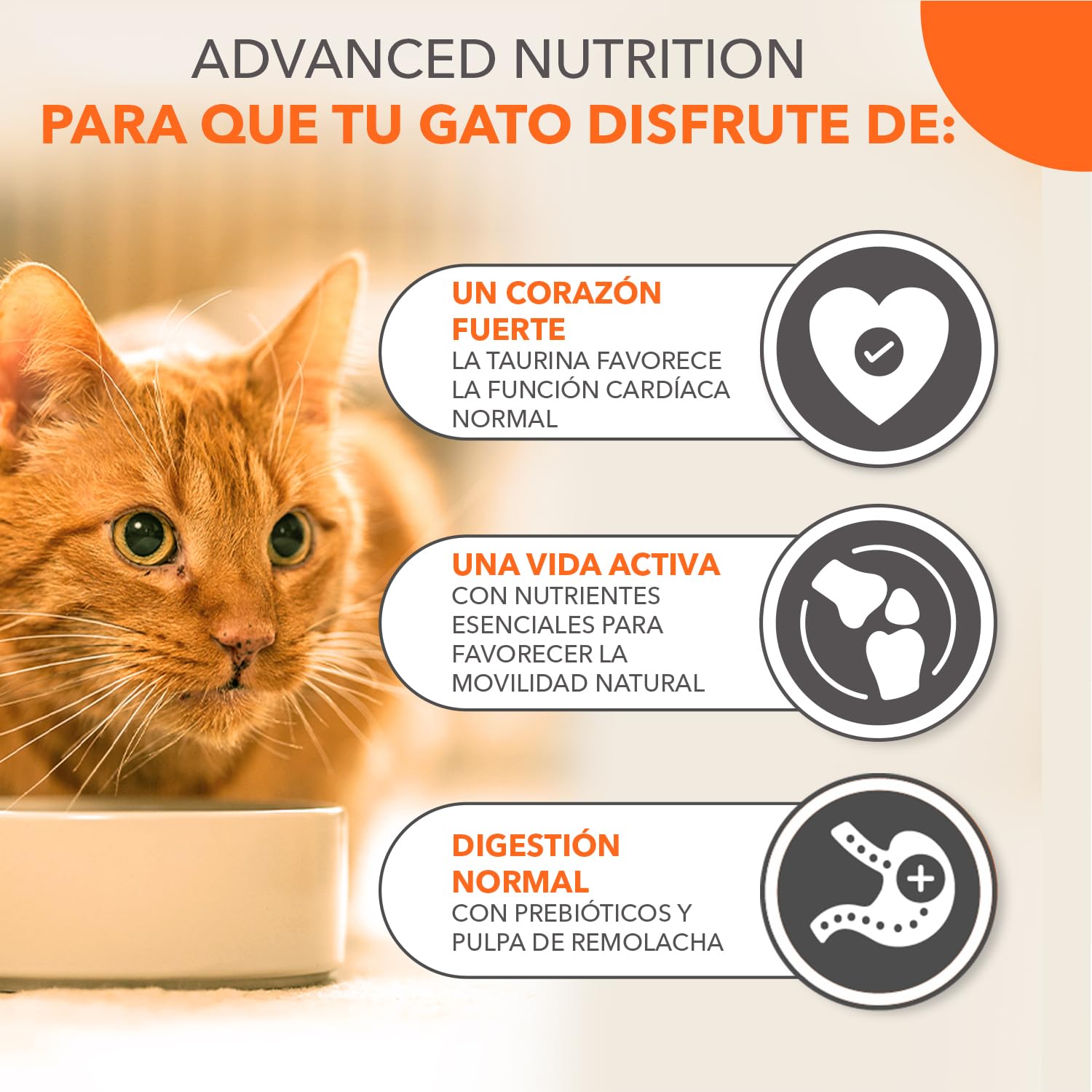 IAMS Alimento seco para Gatos con Pollo Fresco - Alimento seco para Gatos a Partir de 11 años, 10 kg