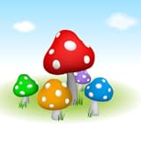 kid Mushroom Forest