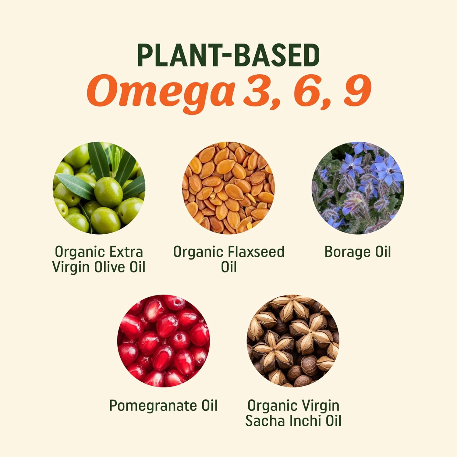 Vegan Omega 3 6 9 Supplements | 2000MG Plant-Based Triple Omega 369 Blend | Heart, Brain, Skin, and Eye Health Support | Vegan Fish Oil Alternative | Essential Fatty Acids Complex | Non-GMO | 60 Ct - Image 2