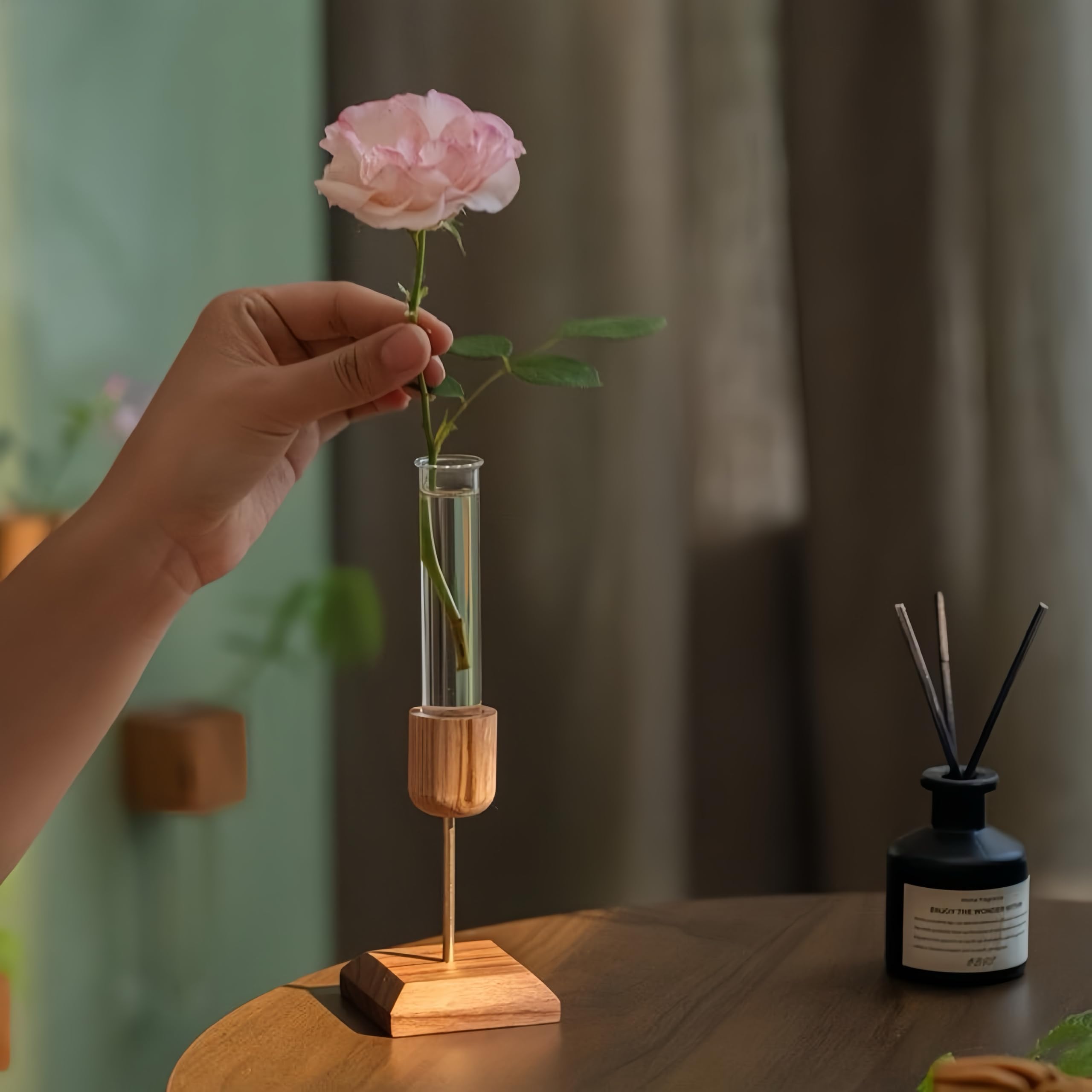 2 Stück Pflanzen-Anzuchtstation, Desktop-Reagenzglas-Vase, geeignet für Hydrokulturpflanzen, Gartengeschenke für Frauen, Geburtstagsgeschenke für Pflanzenliebhaber
