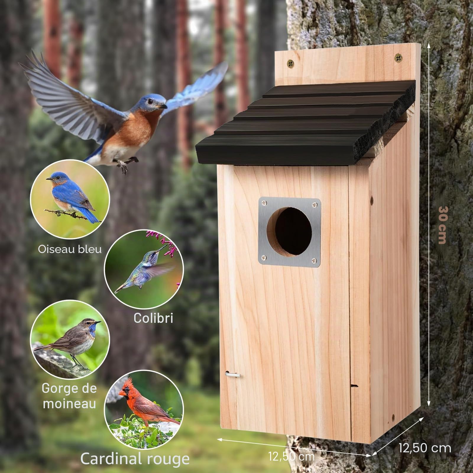 Nichoirs pour oiseaux, nichoir pour oiseaux sauvages, nichoir stable pour oiseaux sauvages, cavité de nidification, maison d'oiseaux en bois de pin à suspendre, résistant aux intempéries à suspendre