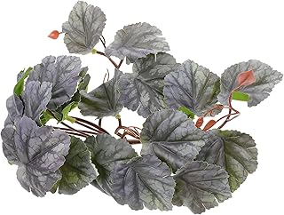 iplusmile Folhas De Paisagismo Vidro Terrário De Plástico Plantas De Aquário Recipiente De Plástico Réptil Lagarto Habitat Decoração Plantas Falsas Para Répteis Terrário Videiras Falsas