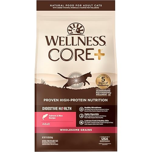 Wellness CORE+ Digestive Health Adult Dry Cat Food, Natural, Wholesome Grains Kibble, Salmon and Rice Recipe, 11 lb Bag