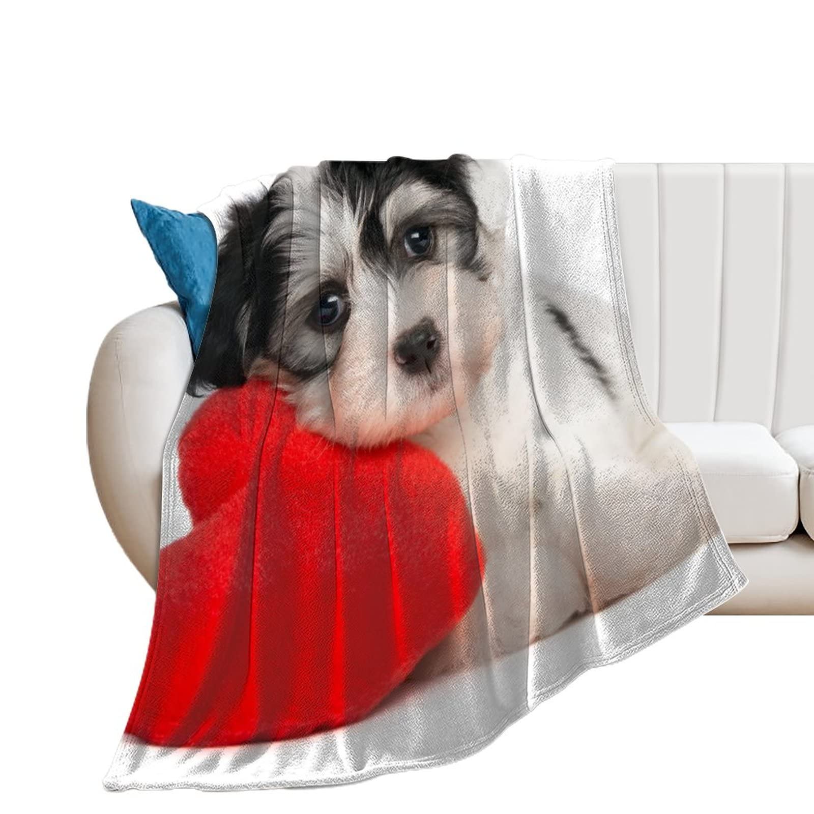Plaid Canapé Chien Mignon Couverture Flanelle Douce pour Soirée Cocooning