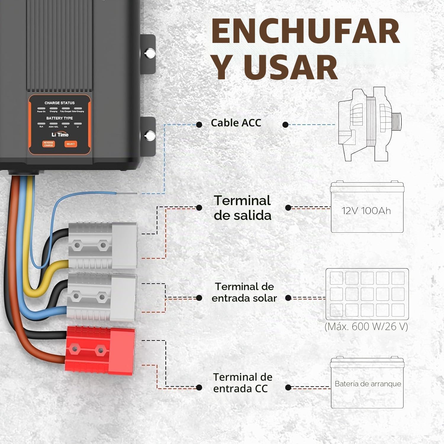 LiTime 12V 40A Cargador de Baterías de CC a CC para Baterías de Litio, Plomo Ácido, SLA, Gel, AGM y Calcio de 12V, Conector de Pared multipuerto Tipo C