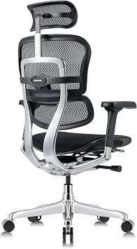 Tempur-Pedic Ergohuman GEN2 Hi Back Ergonomic Office Chair Seat, Synchro-Tilt, Adjustable Headrest, Arm Height Adjustment, Black