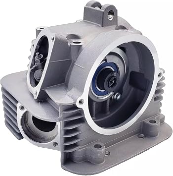 Auto Parts Cylinder Head Assy for Yamaha for Timberwolf 250 for JS250 for YFB250 2x4 4x4 1992-2000 Durable