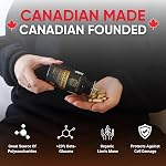Nutratology® Organic Lion's Mane Mushroom Capasules - Nootropic Functional Mushroom Supplements Made With 40% Polysaccharides & >20% Beta-Glucan | Supports Memory, Cognition & Brain Health - 60 Count