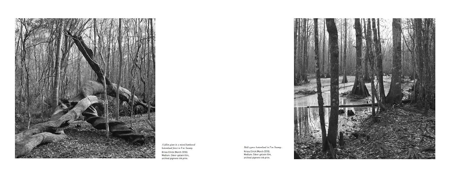 A Country No More: Rediscovering the Landscapes of John James Audubon