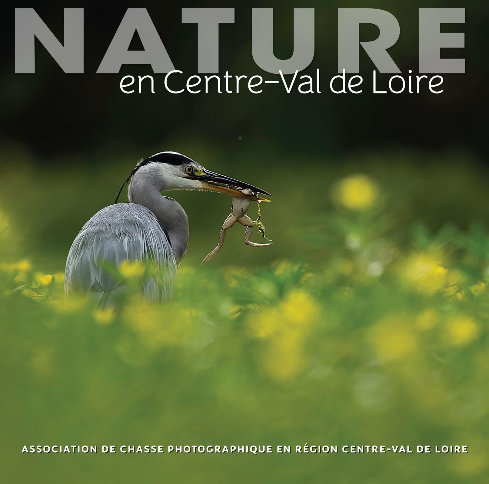 Livre Nature en Centre-Val de Loire | Guide illustré de la faune sauvage