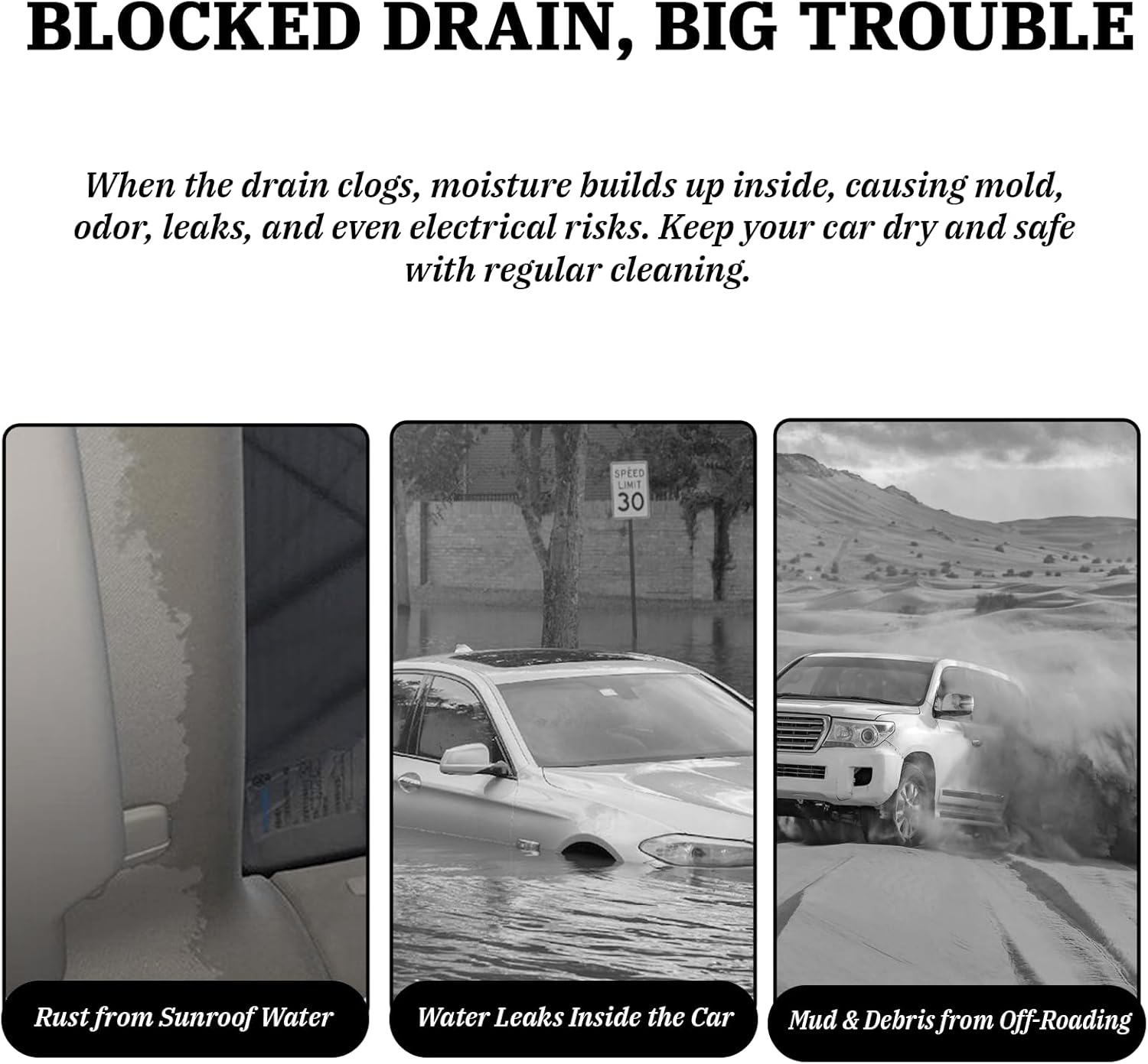 https://m.media-amazon.com/images/I/71EBh9MjFAL._AC_SL1500_.jpg