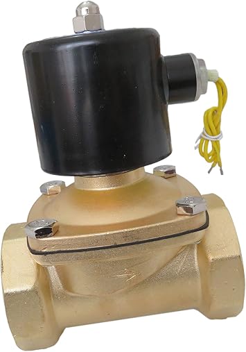 2" Inch 110V AC Brass Electric Solenoid Valve 110 VAC 120 Volt