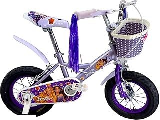 kids bicycle for girls, size 20 inches, from 8 to 12 years old, from Flash Wheel, 4 girls' colors - the official agent of the product GTG TOYS (purple)
