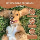 Ver la foto 7