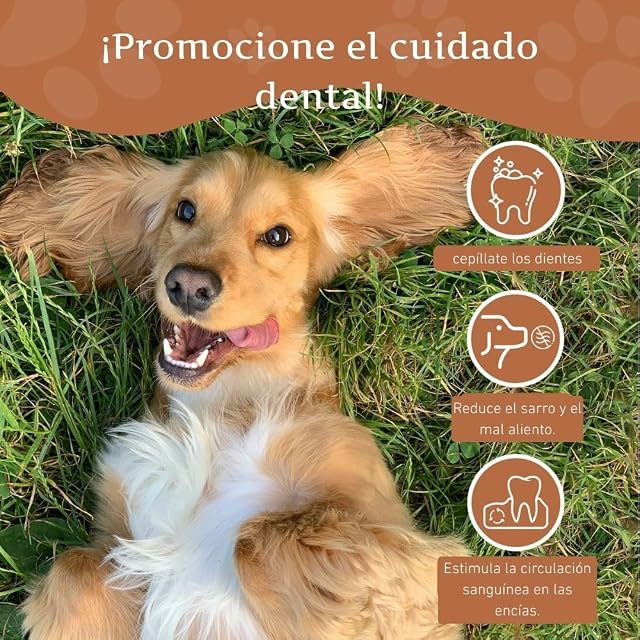 Foto 7 de 8 de Wildfang® Palo de Cafe para Perro - Alternativa a los Huesos - Juguetes para Cachorros - Masticar