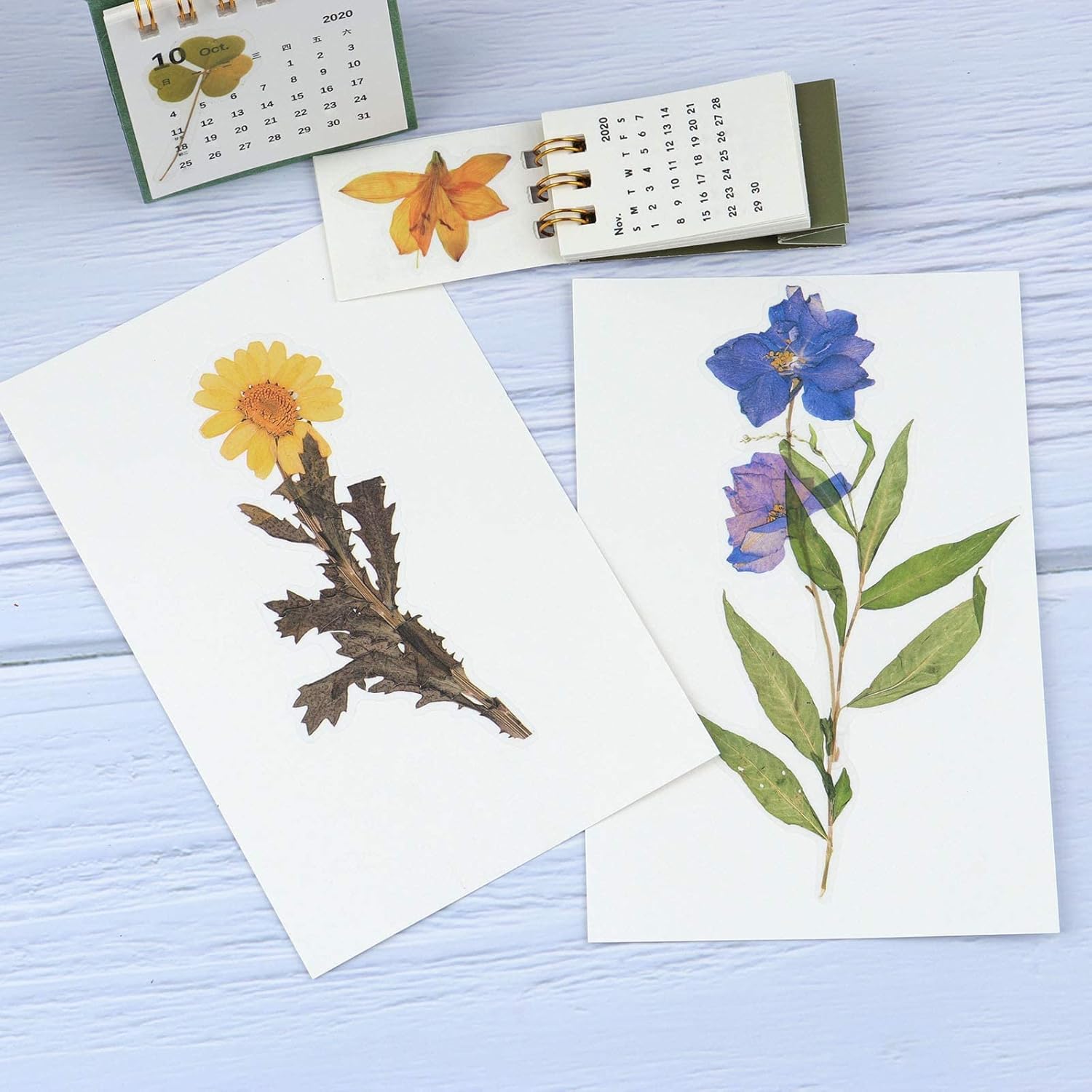 160pcs Pre-Cut Scrapbooks Natural Stickers, Floral and Plant Sticker for DIY Craft, Planners, Journal, Notebook, Laptop, Cell Phone, Calendars, Wedding Scrapbooking, PET Material, Colorful