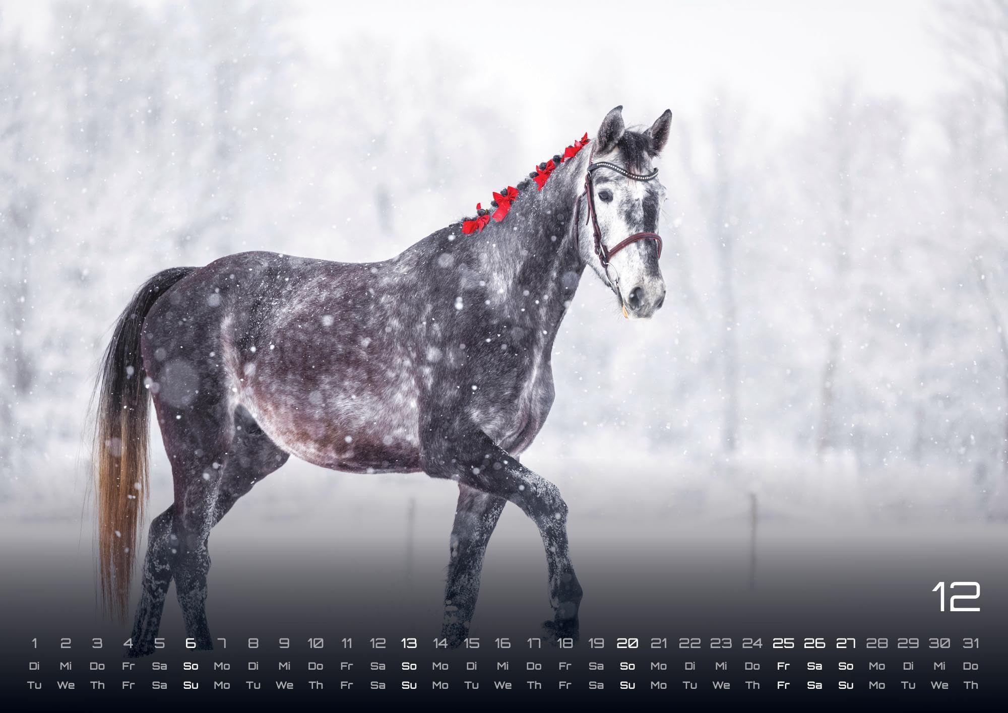 Pferdegeflüster - Der Pferdekalender - 2026 - Kalender DIN A2: Der Wandkalender mit den schönsten Pferde-Motiven für das Jahr 2026 im extragroßen Format DIN A2 (ca. 60 x 42 cm)!