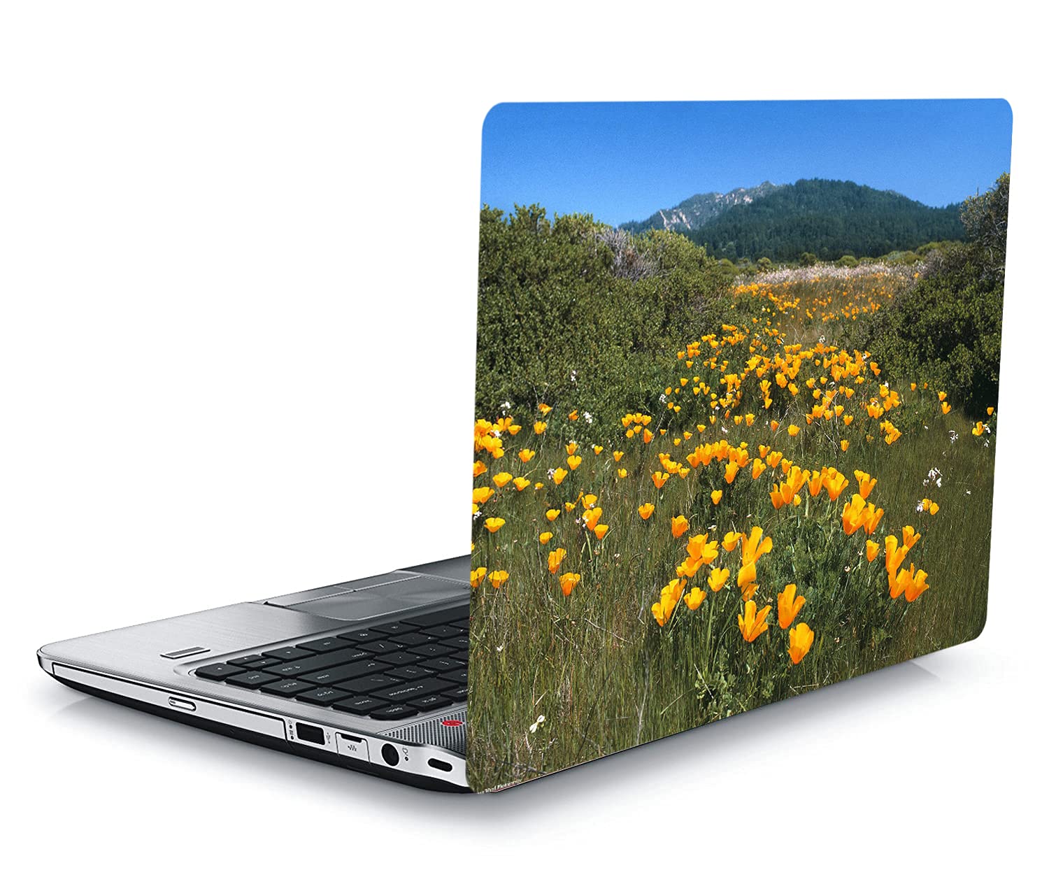 QTH Natural Laptop Skin Sticker Suitable Upto 15.5 INCH Laptop QTH-L2-0105 (B09LLFLF1Z) Amazon Price History, Amazon Price Tracker