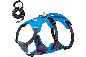 Waterproof Harness: Stay Dry and in Control