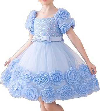 Little Girl Dress with 3D Floral Embroidery Flower Girl Dresses for Easter, Wedding, Birthday Or Graduation