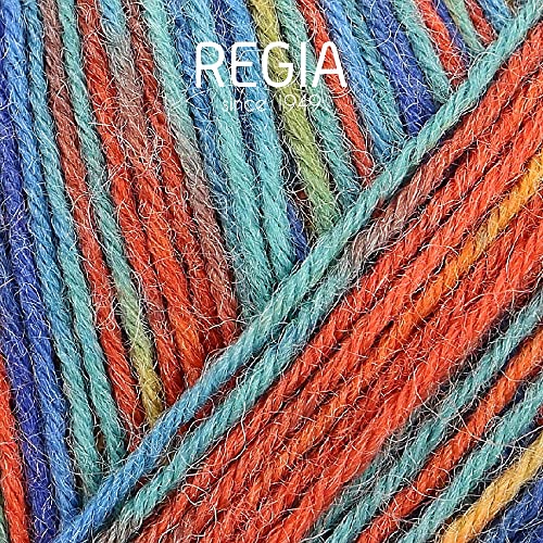 Regia 4-Ply Color Sock Yarn 100G/3.5Oz (1275 - Vintage) #TOP1