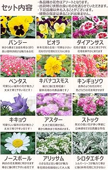 Yunᒼᑋªⁿ✿ページ Amazon.co.jp: 花苗セット 秋冬のお花おまかせ9ポット