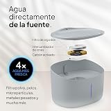 Ver la foto 3
