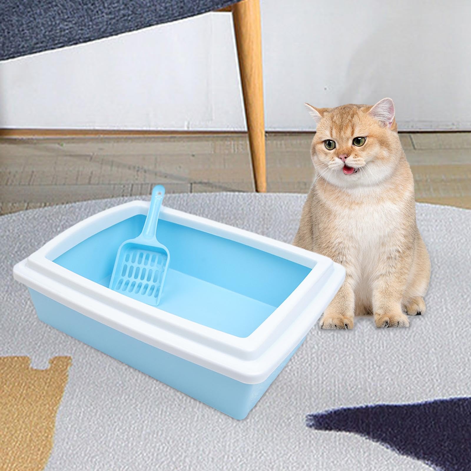Lettaia, Lettiera for Gatti, vaschetta for lettiera for Animali Domestici(Light Blue)