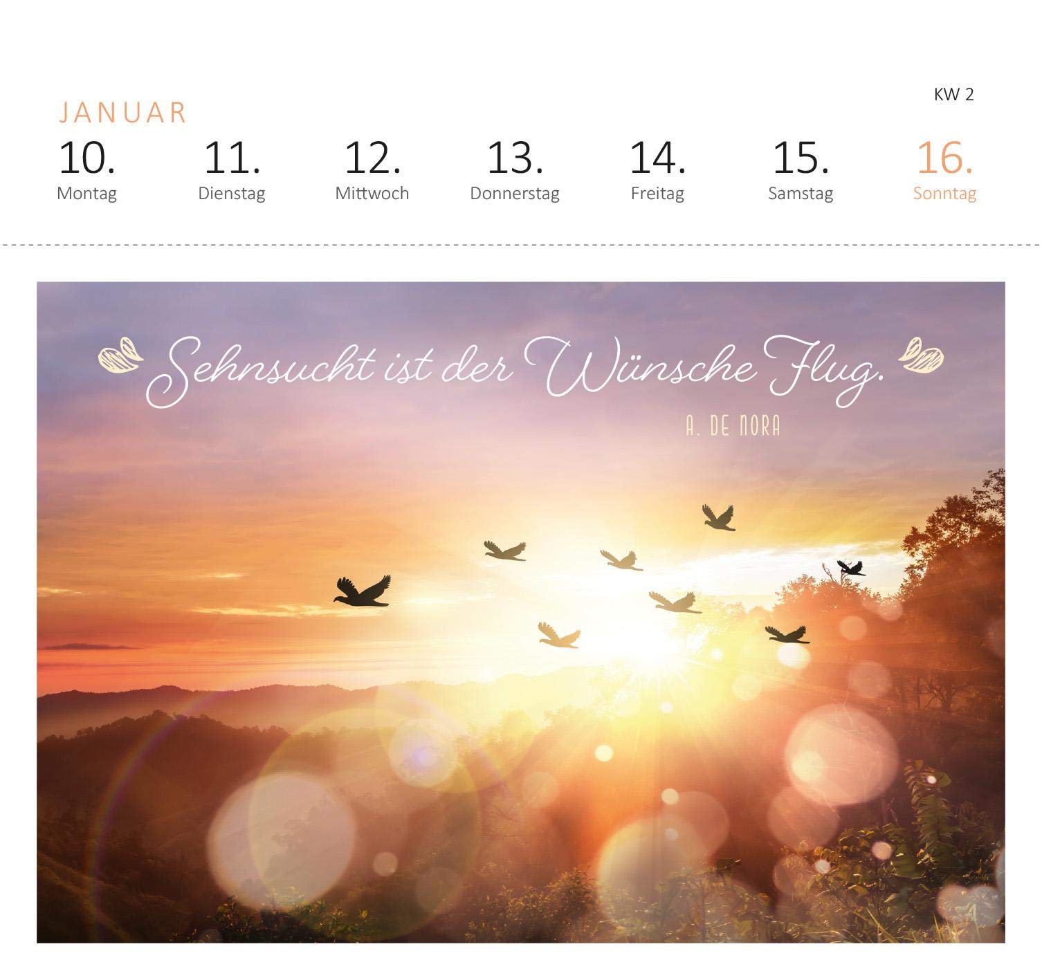Postkartenkalender Lebensweisheiten 2022