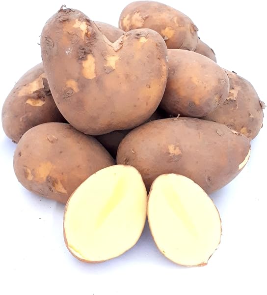 Kartoffel Belmonda deutsche Speisekartoffeln vorwiegend festkochend neue Ernte halbmehlig 1-25 KG (10 KG) - 1