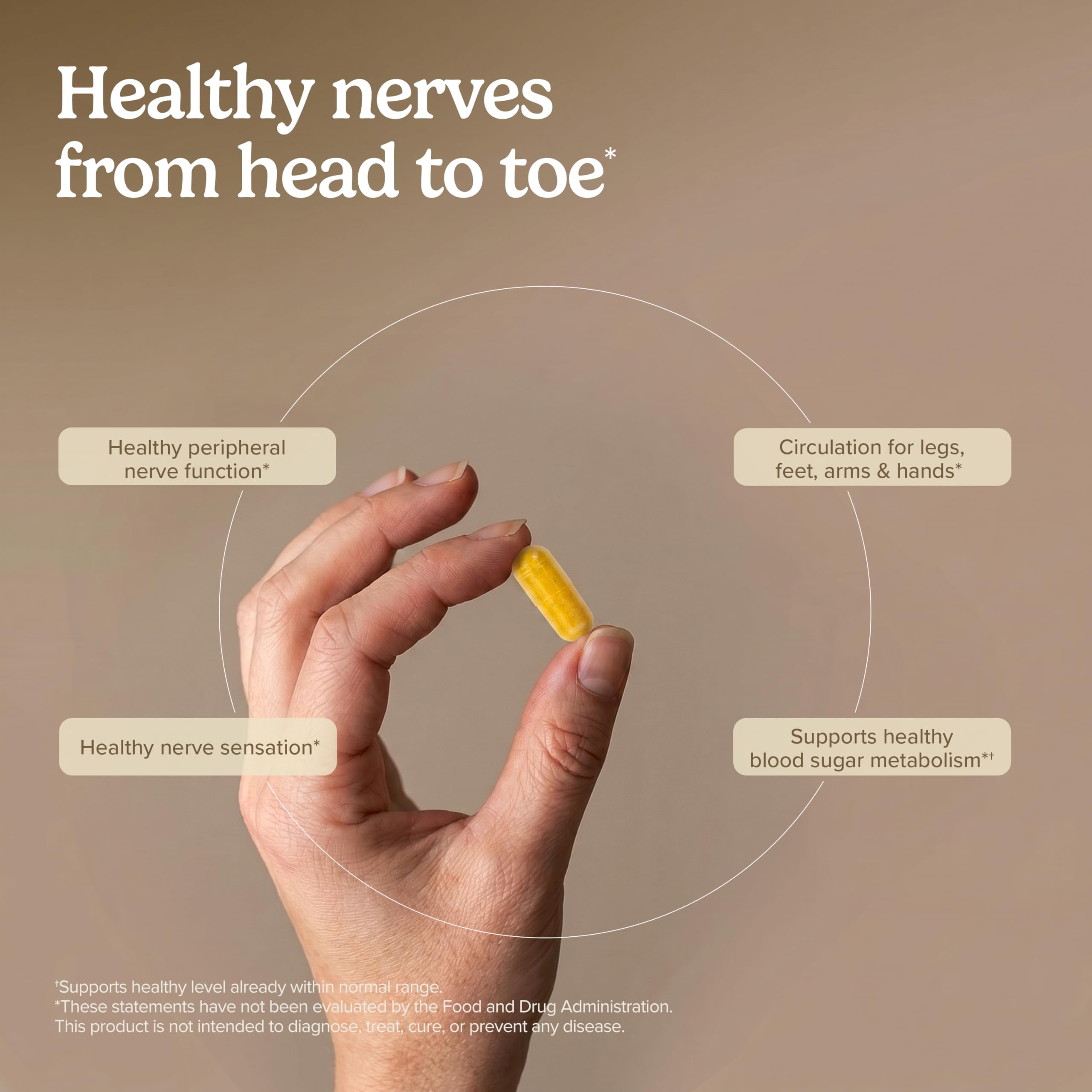 Terry Naturally Healthy Feet and Nerves - Nerve Function - 120 Count — Amazon image 4