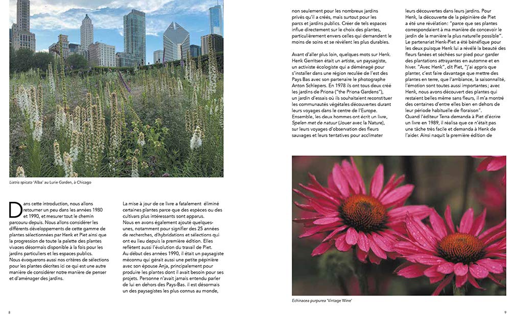 Jardins naturalistes - Les meilleures plantes vivaces