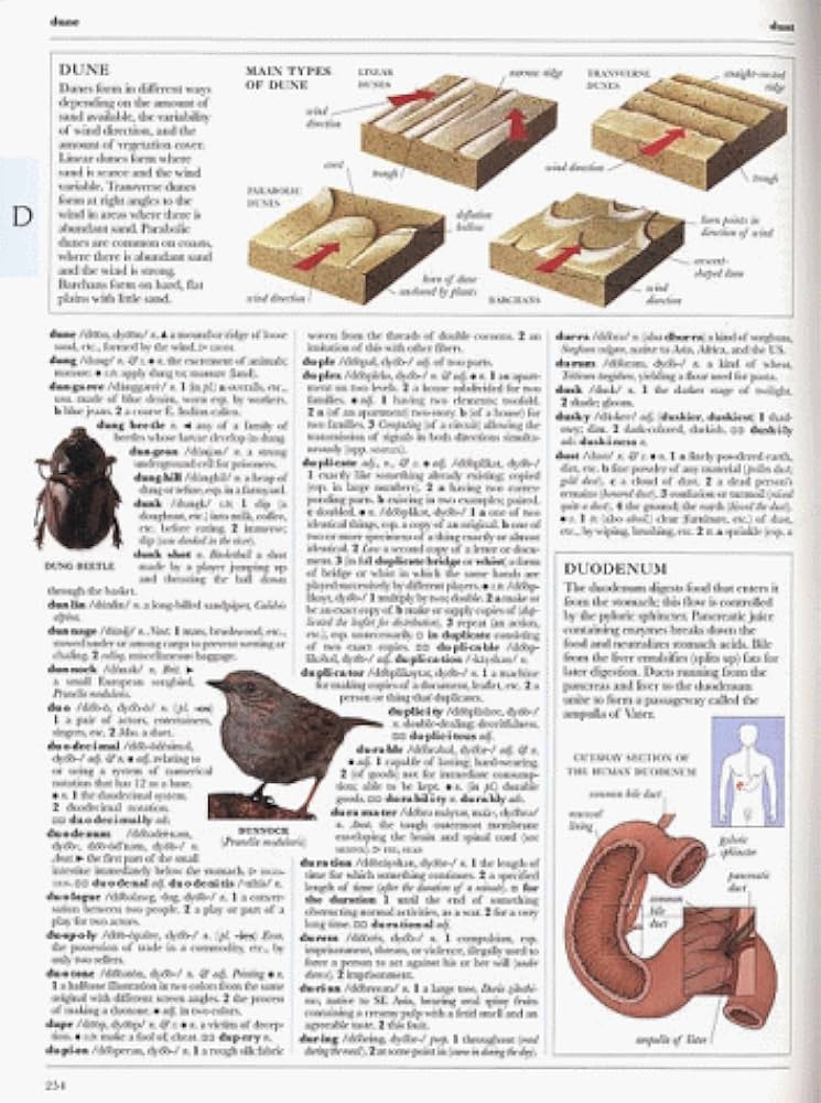 DK Illustrated Oxford Dictionary: Abate, Frank R