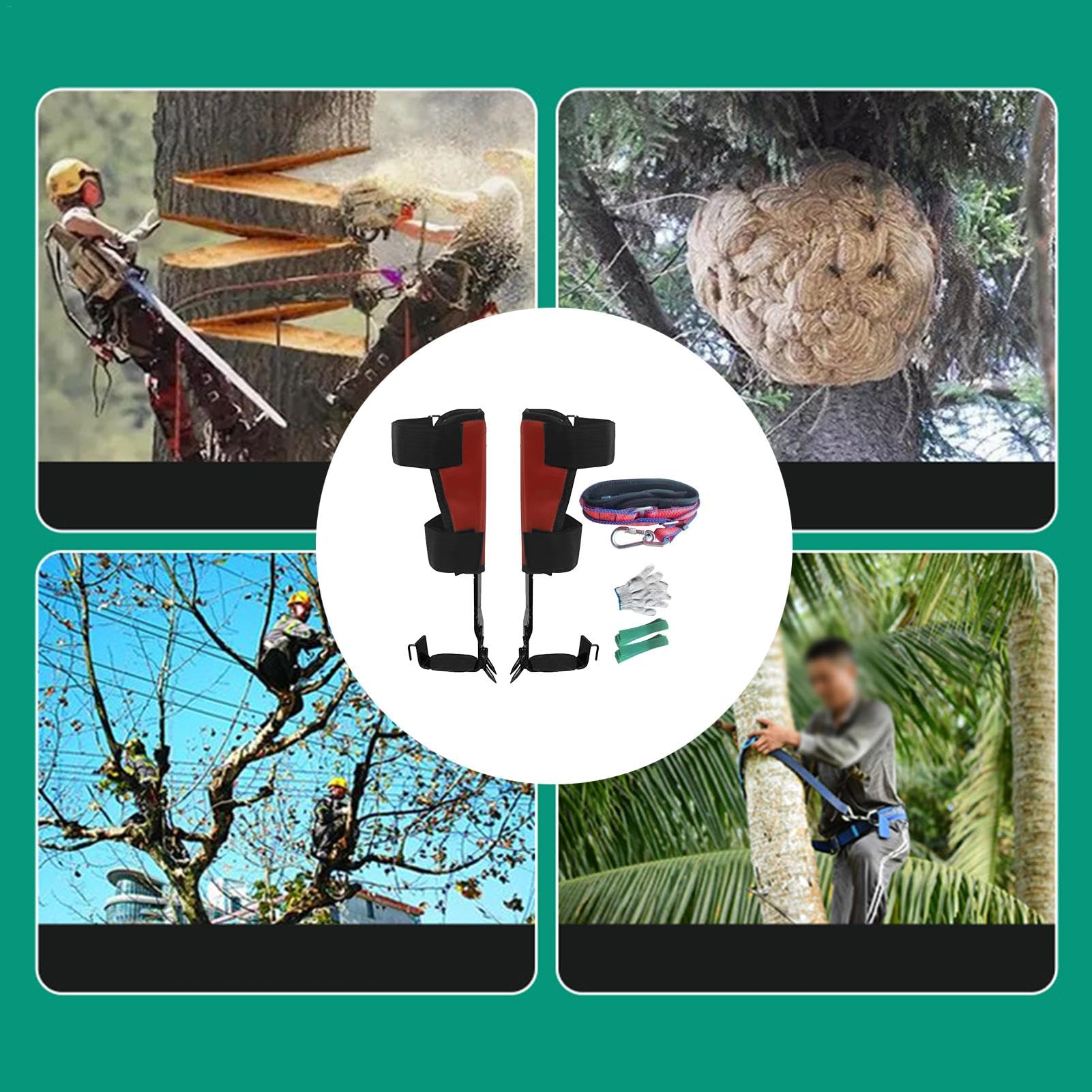 Kit de equipo para trepar árboles, herramienta para trepar árboles | Picos de árbol ajustables para equipo de escalada,Equipo de escalada profesional con soporte de carga fuerte con antideslizan